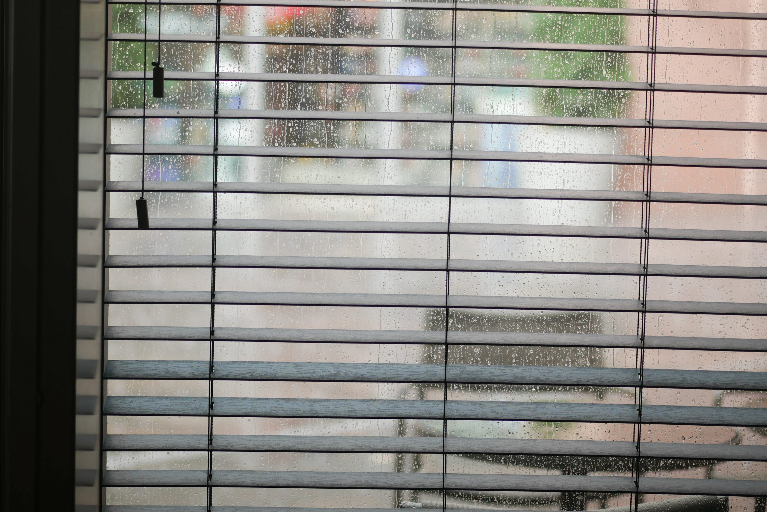 Waterproof Blinds as a Smart Interior Solution: 5 Benefits You Should Know