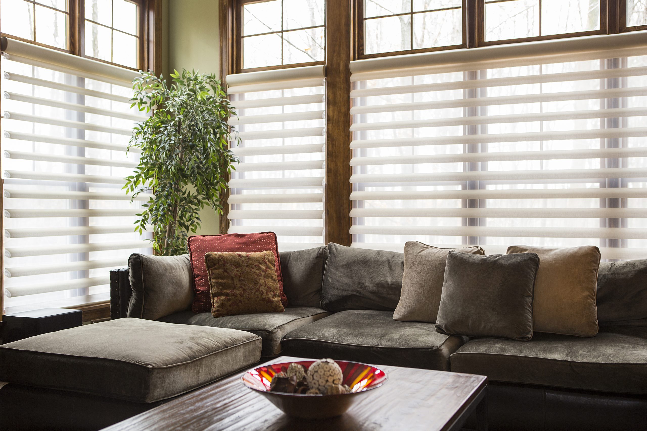 A Complete Overview of Different Types of Blinds